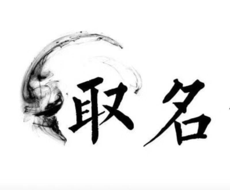  温州市宝宝取名 大师一对一人工起名